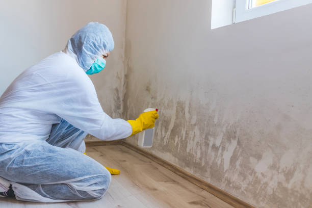Best Residential Mold Removal  in Copper Canyon, TX