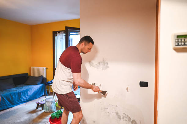 Best Office Mold Removal Services  in Copper Canyon, TX
