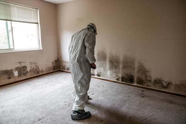 Best Mold Testing  in Copper Canyon, TX