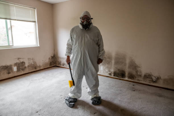 Best Mold Cleaning Services  in Copper Canyon, TX