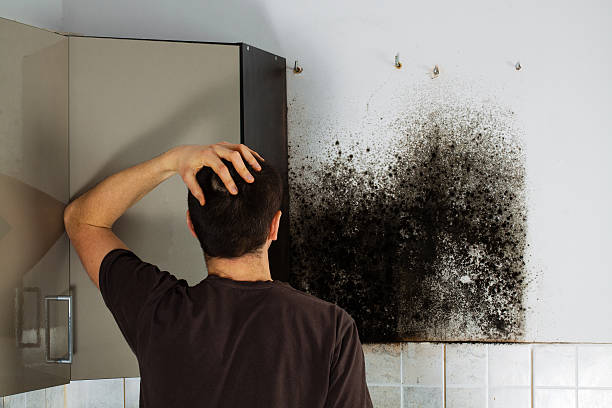 Best Attic Mold Removal  in Copper Canyon, TX
